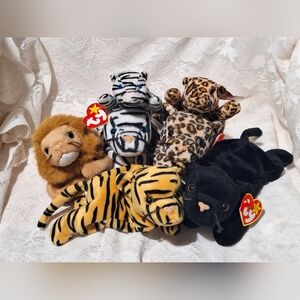 8 WILD Cats: Ty Beanie Babies & Teenies;Lion, Tigers, Leopards, Panther & Cougar